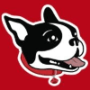 Railsdog